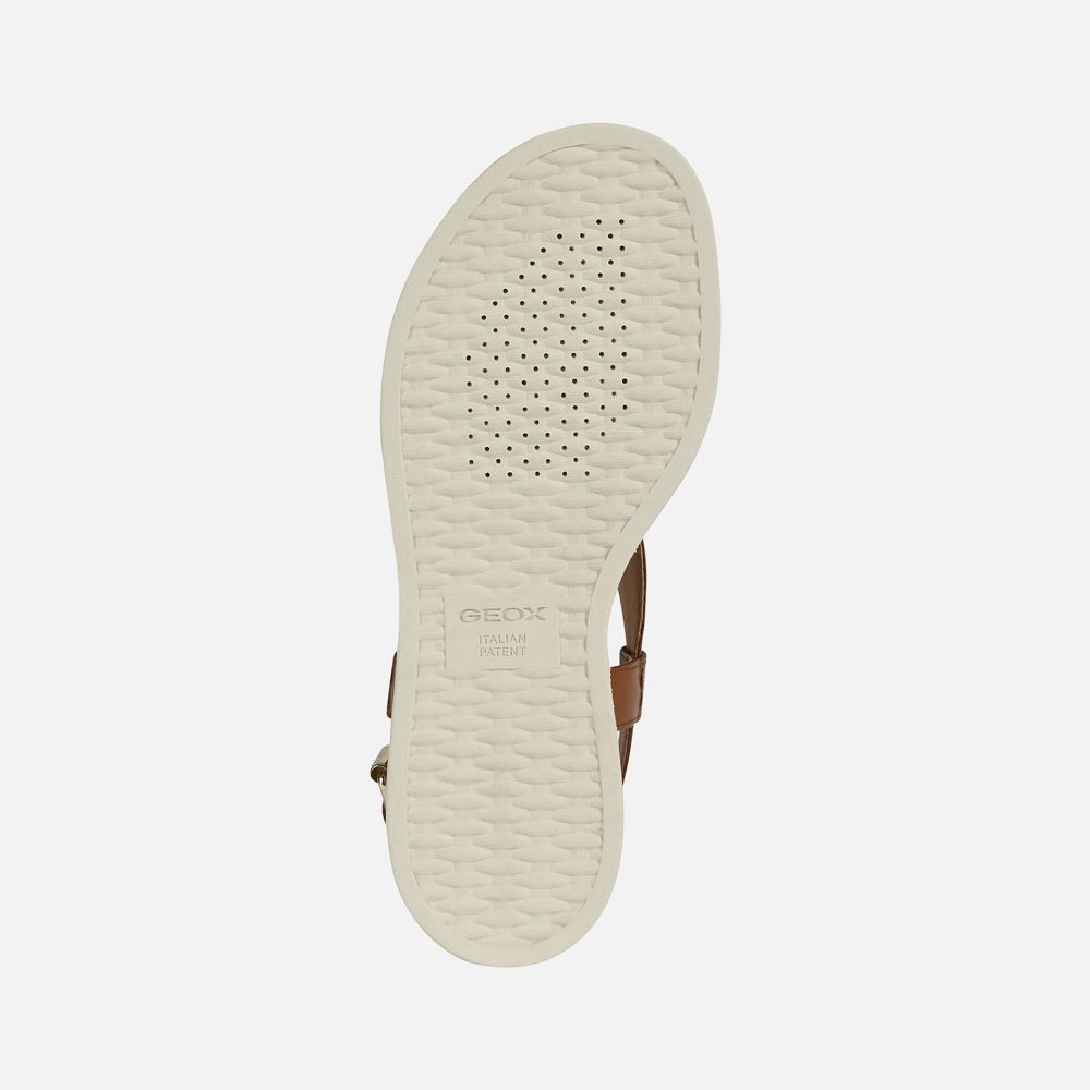 Geox Bayan Sandalet Kahverengi - Taormina - ELC-924501